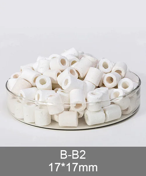 Ceramic Rings product image 2